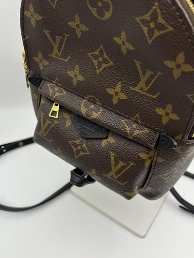 Louis vuitton後背包8