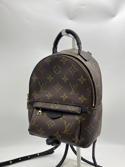 Louis vuitton後背包6