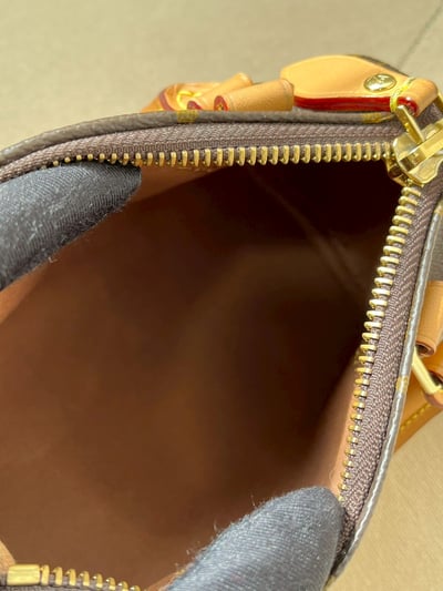 Louis Vuitton Mini Nano 新款11