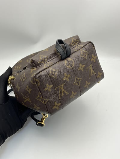 Louis vuitton後背包14