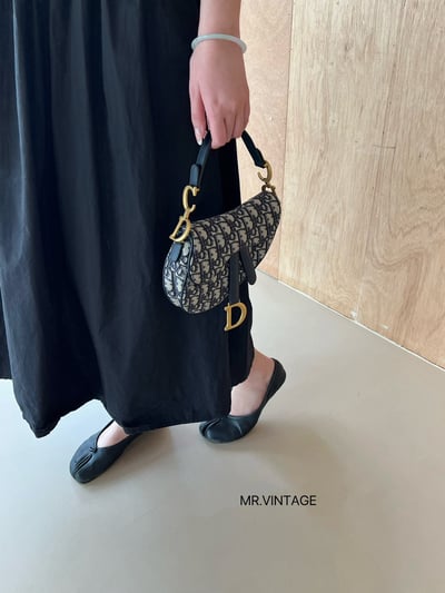 Dior馬鞍包(可斜背)3