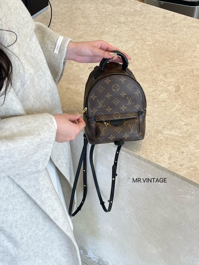 Louis vuitton後背包3