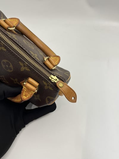 Louis Vuitton Mini Nano10