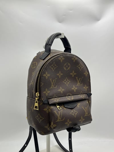Louis vuitton後背包5