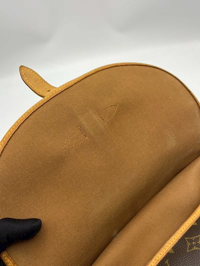 LOUIS VUITTON雙子星/雙面馬鞍包7