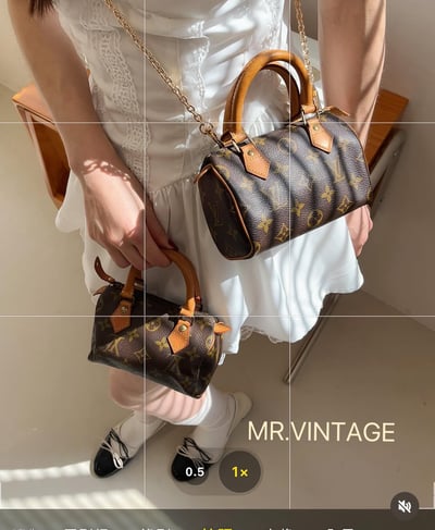 Louis Vuitton Mini Nano1