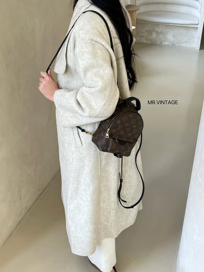 Louis vuitton後背包2