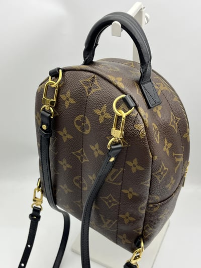 Louis vuitton後背包12