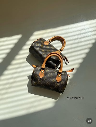 Louis Vuitton Mini Nano2