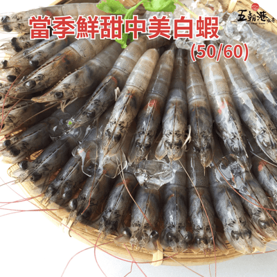【五朝港水產】當季鮮甜中美白蝦(50/60)3