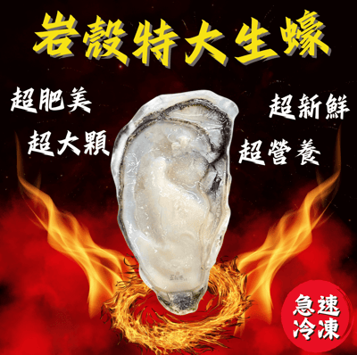 【五朝港水產】韓國半殼生蠔4