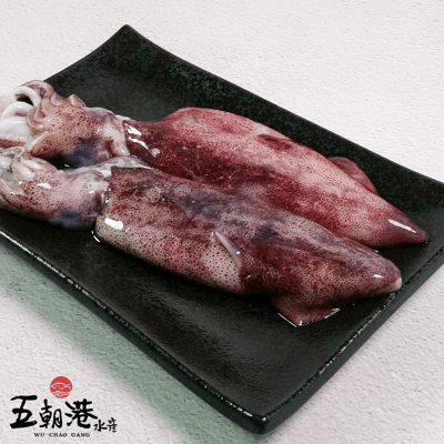 【五朝港水產】野生船凍透抽 #33