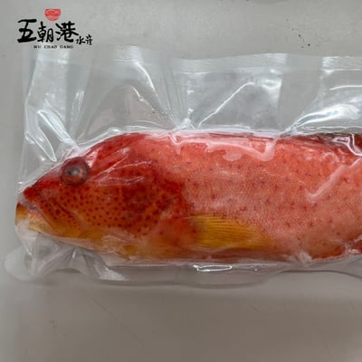 【五朝港水產】福氣鰻滿紅運當頭禮盒5