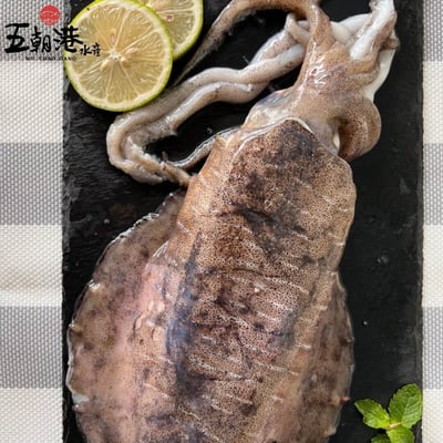 【五朝港水產】特選鮮美軟絲(300/400)5