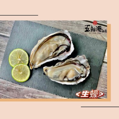 【五朝港水產】韓國半殼生蠔7