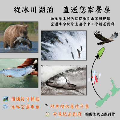 【五朝港水產】紐西蘭庫克山帝王鮭魚片 | 鮭魚5