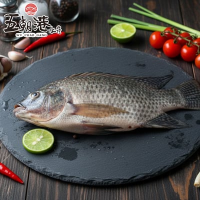 【五朝港水產】台灣吳郭魚1