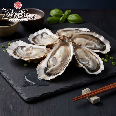 【五朝港水產】韓國半殼生蠔1