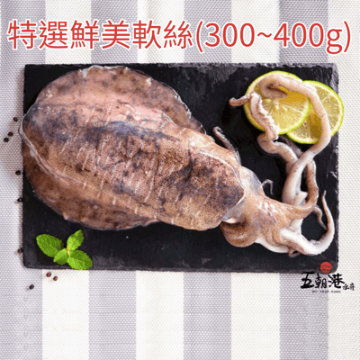 【五朝港水產】特選鮮美軟絲(300/400)2