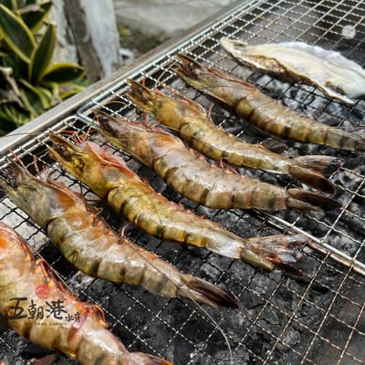 【五朝港水產】南洋活凍8P大草蝦1盒5