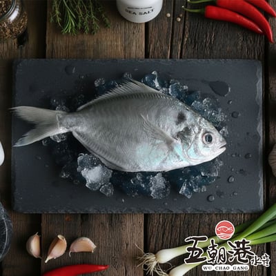 【五朝港水產】極鮮特優野生肉魚1