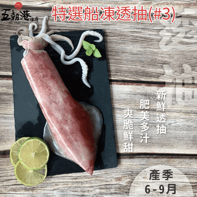 【五朝港水產】野生船凍透抽 #32