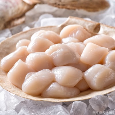 【五朝港水產】海洋瑰寶海灣貝4