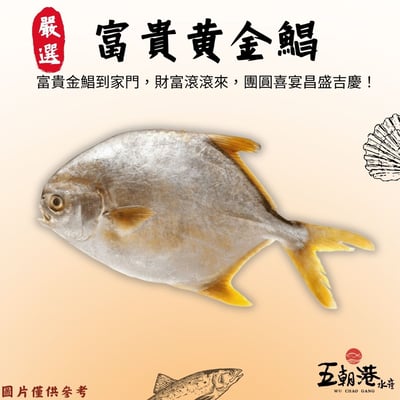 【五朝港水產年菜】富貴黃金鯧