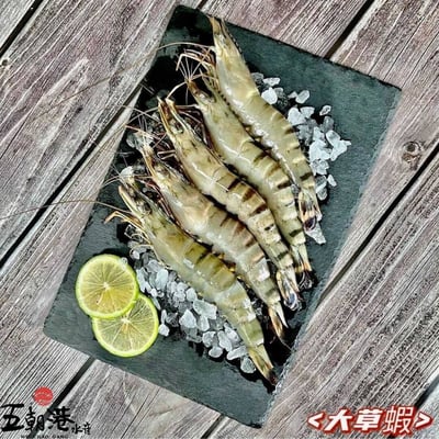 【五朝港水產】南洋活凍8P大草蝦3盒6