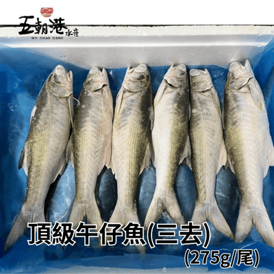 【五朝港水產】頂級三去午仔魚(275g±10%/尾)3