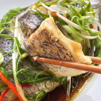 【五朝港水產】台灣鮮凍金目鱸魚(300~400g/尾)4