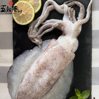【五朝港水產】特選鮮美軟絲(300/400)4