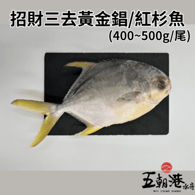 【五朝港水產】招財三去黃金鯧/紅杉魚(400~500g/尾)3