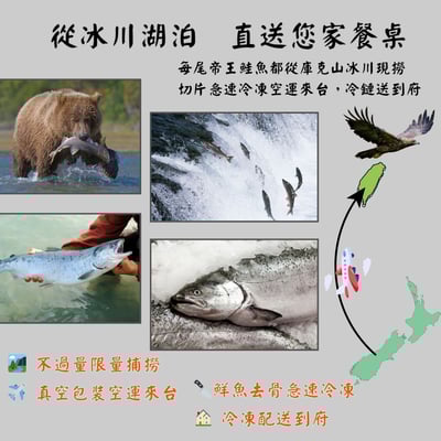 【五朝港水產】紐西蘭庫克山帝王鮭魚菲力 | 鮭魚5