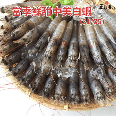 【五朝港水產】當季鮮甜中美白蝦(31/35)2