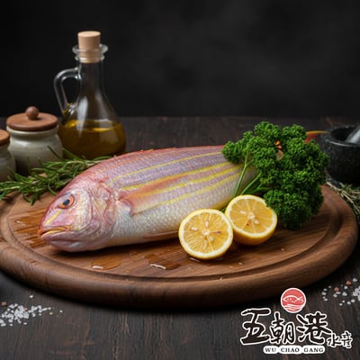【五朝港水產】金線魚1