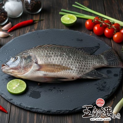 【五朝港水產】台灣吳郭魚(400g~500g/尾)1