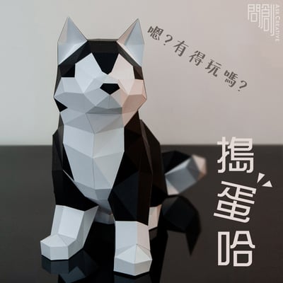 搗蛋呆萌哈士奇1