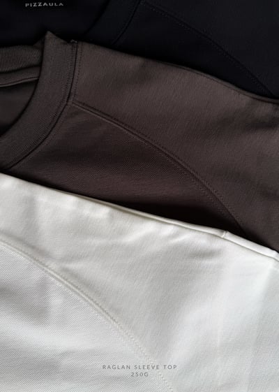 Raglan sleeve top 250G2