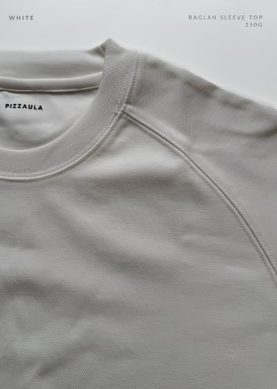 Raglan sleeve top 250G4