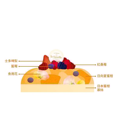 Japanese Mikan Bavarois日本日向夏蜜柑巴伐利亞2