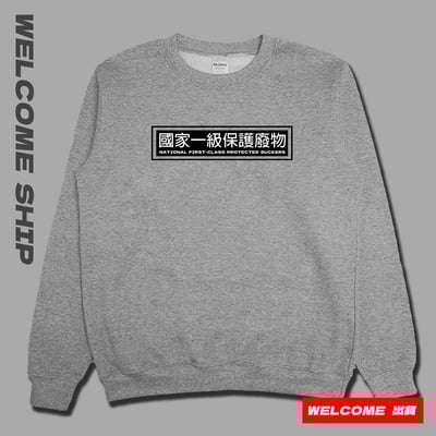 (大學T)國家一級保護廢物 Welcome出貨3