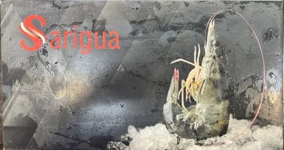 Sarigua 白蝦 2/3  3/42
