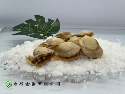 日本原裝baby熟帆立貝1