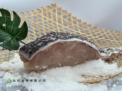 巴拉望野生石斑1