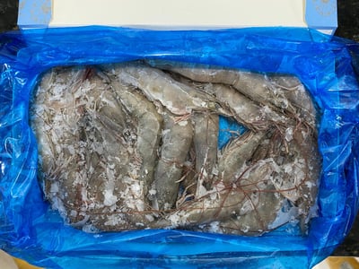 企鵝爽活凍生白蝦4