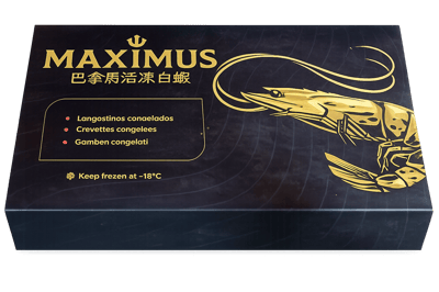 MAXIMUS 馬斯 巴拿馬活凍白蝦1