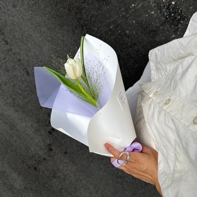 單支白色鬱金香花束4