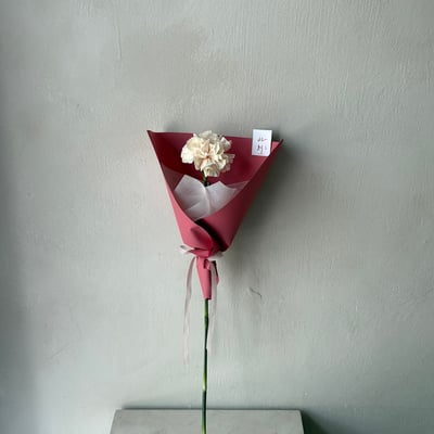 單支康乃馨花束- 深杏2