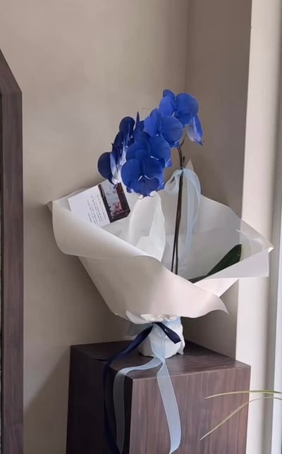 染色蘭花花束-靛藍3